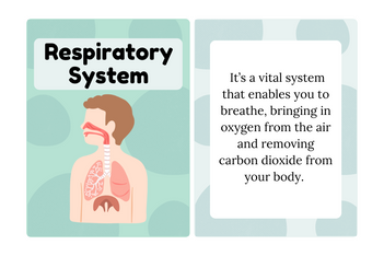 Breath of Life: Exploring the Respiratory System
