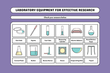 Laboratory Equipment for Effective Research: Top 10 Tools You Need