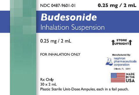 Nephron Pharmaceuticals Budesonide Oral Inhalation 00487-9601-01 - 30.0 Each