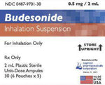 Nephron Pharmaceuticals Budesonide Oral Inhalation 00487-9701-01 - 30.0 Each