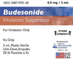 Nephron Pharmaceuticals Budesonide Oral Inhalation 00487-9701-01 - 30.0 Each
