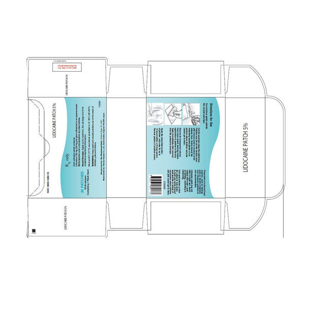 PAR PHARMACEUTICAL COMPANIES, INC Lidocaine Patch 00603-1880-16 1 box - MDL-0603-1880-16