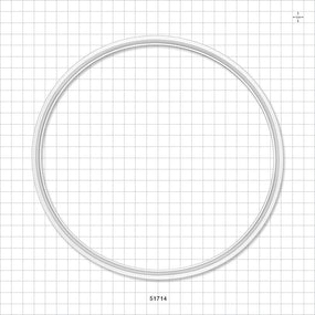 Sanitary Flange Gasket - 8 inch - 51714