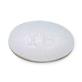 Ascend Laboratories Ibuprofen Oral (Rx) 67877-0319-05 - 1.0 Bottle - MDL-67877-319-05