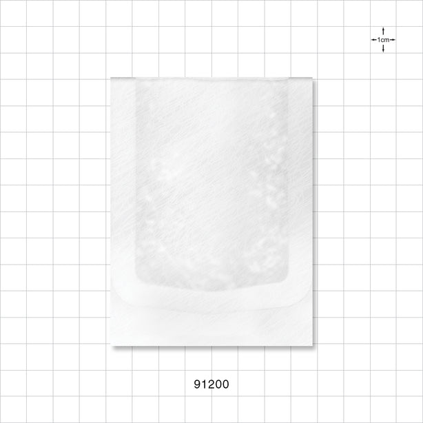 Sterilization Pouch, Chevron Style, Heat Sealable - Outside Dimensions: 3 inch x 4 inch (76 mm x 102 mm) - 91200