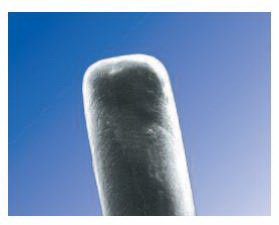 Oasis Eye Punctal Plug SOFT PLUG® Collagen Collagen Temporary Occlusion Duration 2 mm Length 0.4 mm Diameter - Box of 60 - 6504-BX