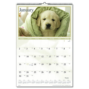 AT-A-GLANCE Monthly Wall Calendars DMW167-28 1 Each - MDL-AAGDMW16728