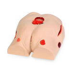 AMERICAN 3B SCIENTIFIC LP Seymour II Wound Care Simulator 1009798 1 Each