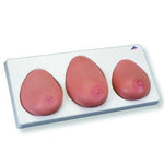 American 3b Scientific Lp 3B Scientific Breast Exam Model L55 [1000344] - 1.0 Each