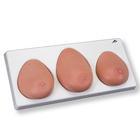 3B Scientific 3-Piece Breast Self-Examination Model - L55 - 1 Each - MDL-ABQL55