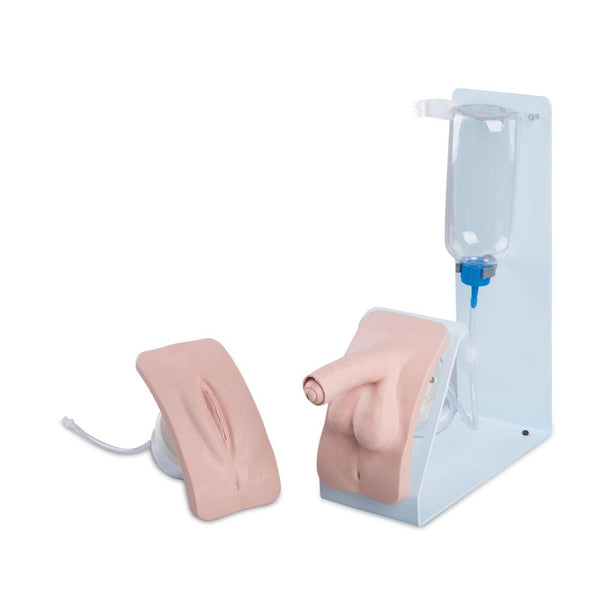 American 3b Scientific Lp 3B Scientific Catheterization Simulator Sets P93B-S - 1.0 Each