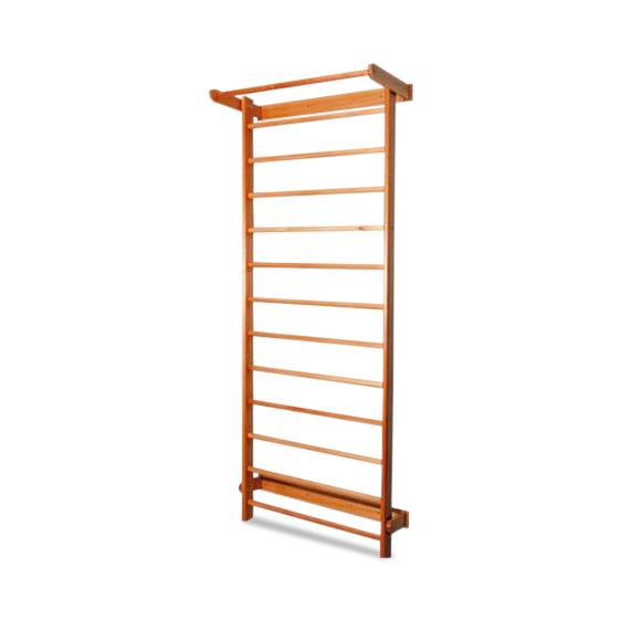American 3b Scientific Lp 3B Scientific Stall Bar W15145 - 1.0 Each
