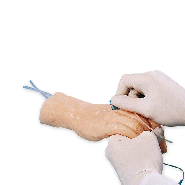 3B Scientific Injection Training Hand - W43035 - 1 Each - MDL-ABQW43035