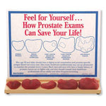 American 3b Scientific Lp 3B Scientific Prostate Exam Display W43228 - 1.0 Each