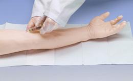 American 3b Scientific Lp American 3B Advanced Venipuncture and Injection Arm W44216 - 1.0 Each
