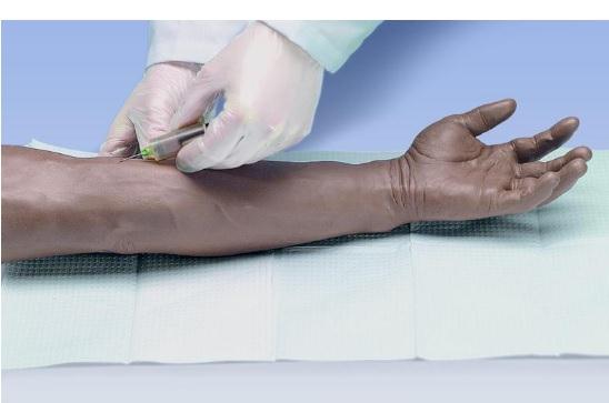 American 3b Scientific Lp American 3B Advanced Venipuncture and Injection Arm W44217 - 1.0 Each