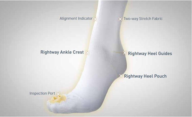 Encompass Anti-Embolism UltraCARE Antiembolism Stocking, Knee-Length, Size L, Short - 851-03 - 12 Pair