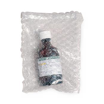 Action Health E-Z Seal Bubble Pouches EZ8011 350.0 Each