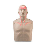 AERO HEALTHCARE SAM II Student Auscultation Manikin IM13-R 1 Each