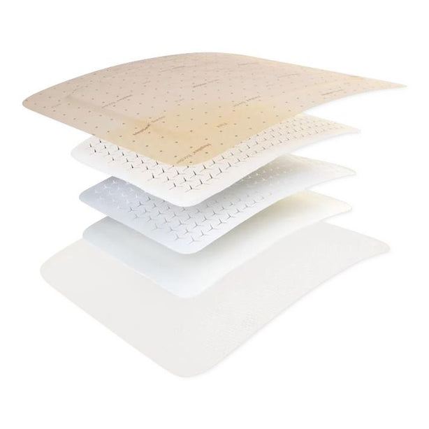 Molnlycke Healthcare Us LLC Mepilex Border Flex Dressings 595300 - 1.0 Each