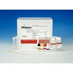 Abbott 10-Well Impact RPR Test Kit 60C2 - 150.0 Each