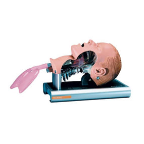 Ambu Ambu Intubation Airway Management Trainer 186002000 - 1.0 Each