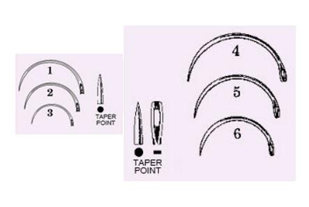 Anchor Comp Suture Mayo Catgut Needle, 1/2 Circle, Taper Point - ANP18245DC