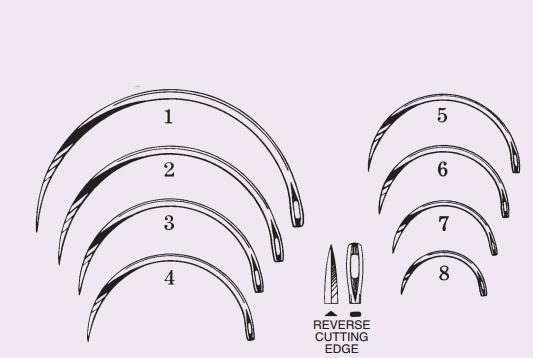 Anchor Products Comp Martin Uterine Suture Needles 1860-1DC - 40.0 Each