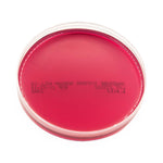 Anaerobe Systems Laked Brucella Blood Agar with LKV AS-112 1.0 Each