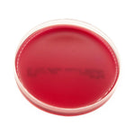 Anaerobe Systems Phenylethyl Alcohol Blood Agar (PEA) AS-113 1.0 Each