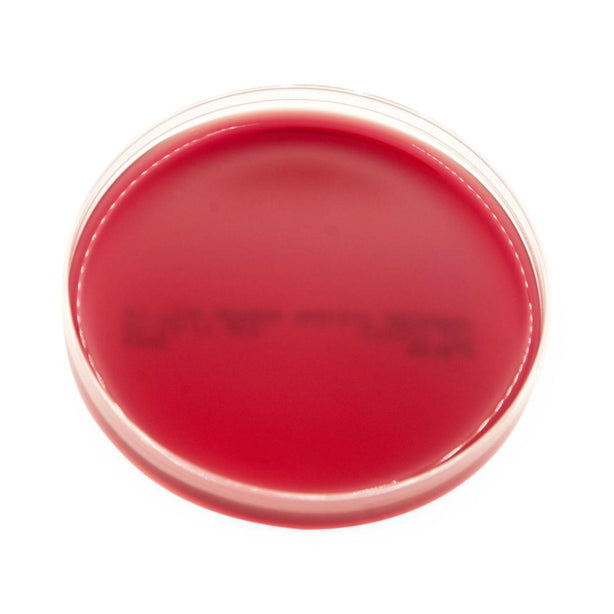 Anaerobe Systems Phenylethyl Alcohol Blood Agar (PEA) AS-113 1.0 Each