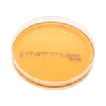 Anaerobe Systems Bacteroides Bile Esculin (BBE) Agar AS-114 1.0 Each