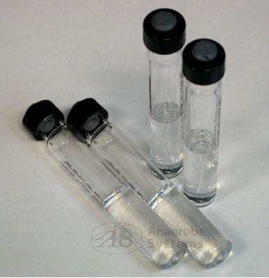 Anaerobe Systems Anaerobic Specimen Collector AS-914 - 1.0 Each