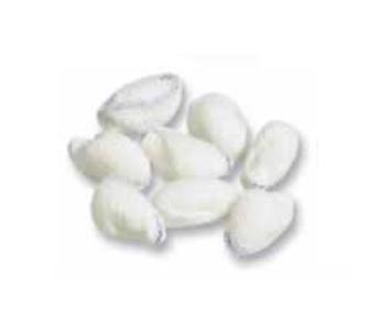 Integra Lifesciences Corp Peanut Operating Room Sponges 10663 - 100.0 Pack - MDL-ANT10663CS