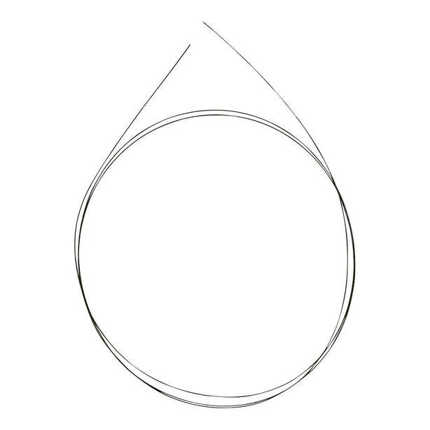 Argon Medical Devices Inc Fixed Core Straight Guidewires 395369 - 10.0 Each
