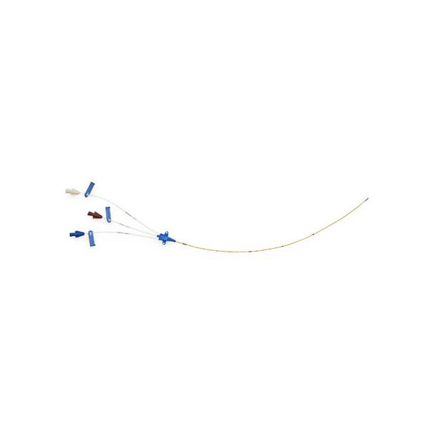 Teleflex Medical Multi-Lumen CVC Kit with Blue FlexTip Catheter - AK-15553 - 5 Each - MDL-ARWAK15553