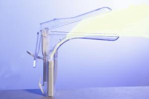 Disposable Lighted Speculum - SDL-100S - 100 Each - MDL-ARZSDL100S