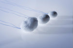 American Surgical Cotton Balls Double Strung Cottonball, 1" - 45412 - 100 Each