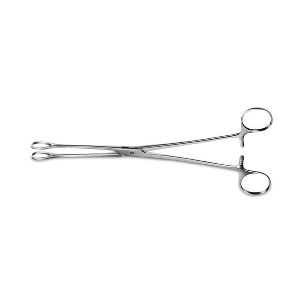 Aesculap Foerster-Ballenger Smooth-Jaw Sponge Forceps, Smooth, Fenestrated, 245mm - BF120R - 1 Each