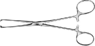 Aesculap Intestinal and Tissue Grasping Forceps, Straight, 5 x 6 Teeth, 155 mm - EA010R - 1 Each