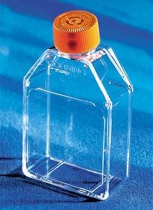 Corning Life Sciences Canted Neck Cell Culture Flask With Vent Cap - AWN430639