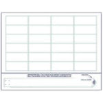 IDENTIPLUS Identiplus Laser Chart Labels for Wristbands LZ-101D-09 1000 Each - MDL-AXNLZ101D09
