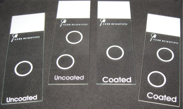 Azer Scientific Double Well Cytology Slides ESCS-097 - 144.0 Each - MDL-AZERESCS097
