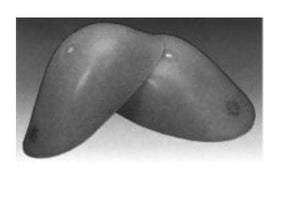 Azmec, Inc. Male-Female Heel Protectors 1270L -