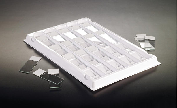 Azer Scientific Cardboard Storage Files ES3069 - 10.0 Each - MDL-AZRES3069