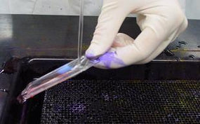 Azer Scientific Gram Stain Decolorizer ES805 - 4.0 Each