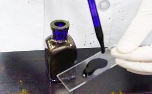 Azer Scientific Crystal Violet Reagent, ES808 - 4.0 Each