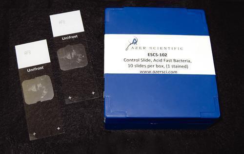 Azer Scientific Tissue Control Slides ESCS-116 - 11.0 Each - MDL-AZRESCS116