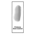 Azer Scientific Protozoa Control Slides ESCS-131 - 10.0 Each