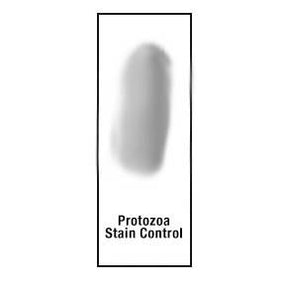 Azer Scientific Protozoa Control Slides ESCS-131 - 10.0 Each